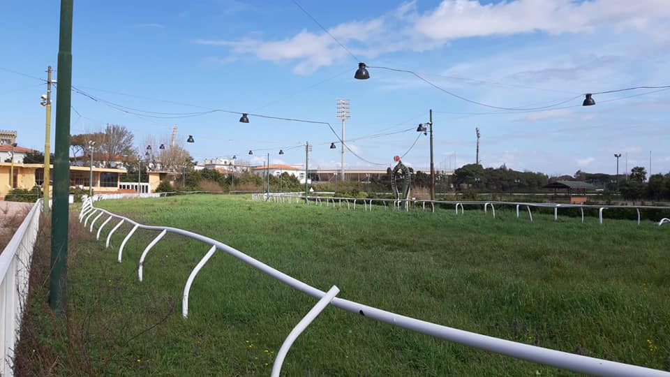 Corse regolari: venerdì Zamura ha vinto a Livorno