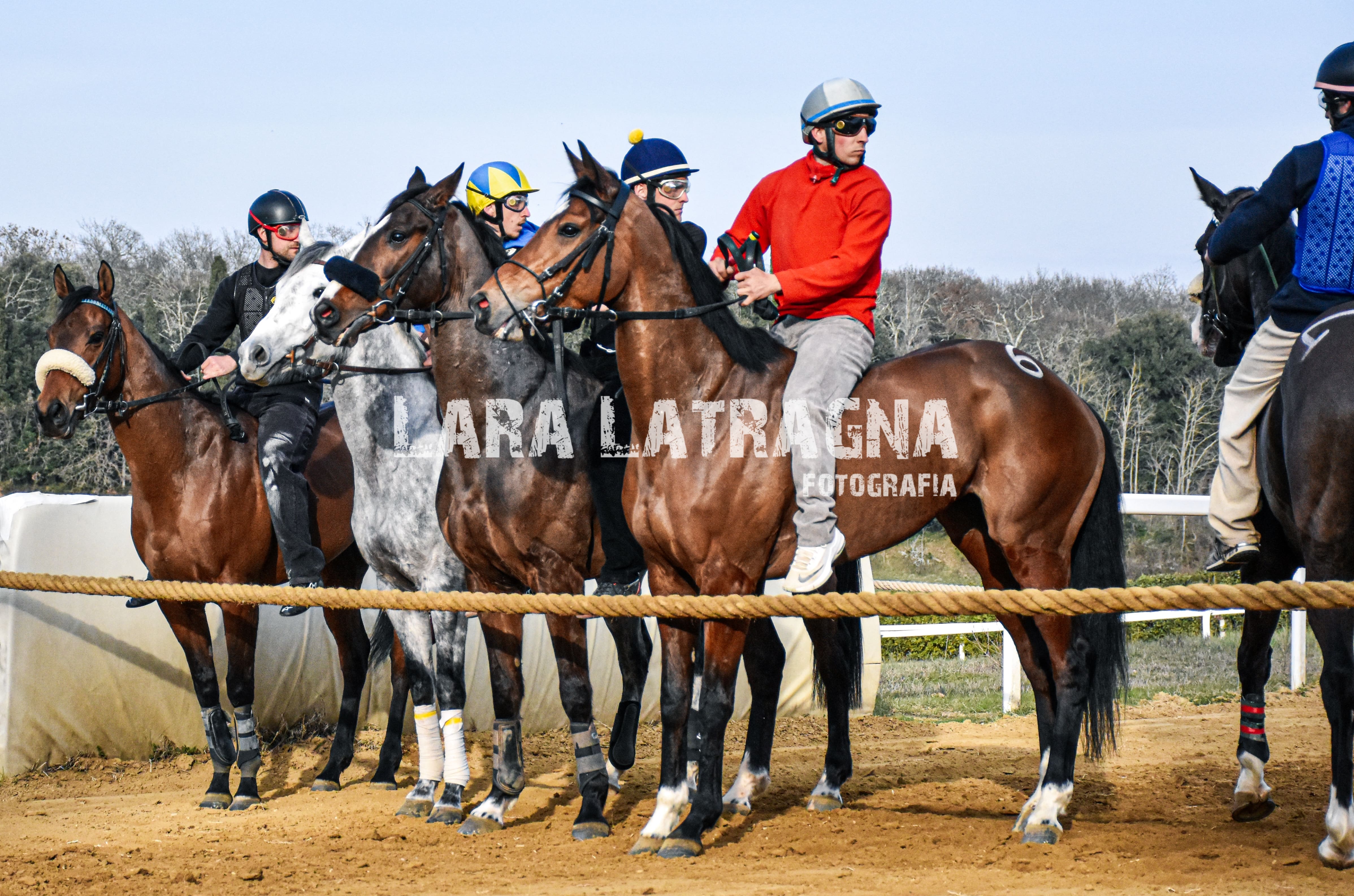 Mociano: la gallery di Lara Latragna dei lavori di addestramento