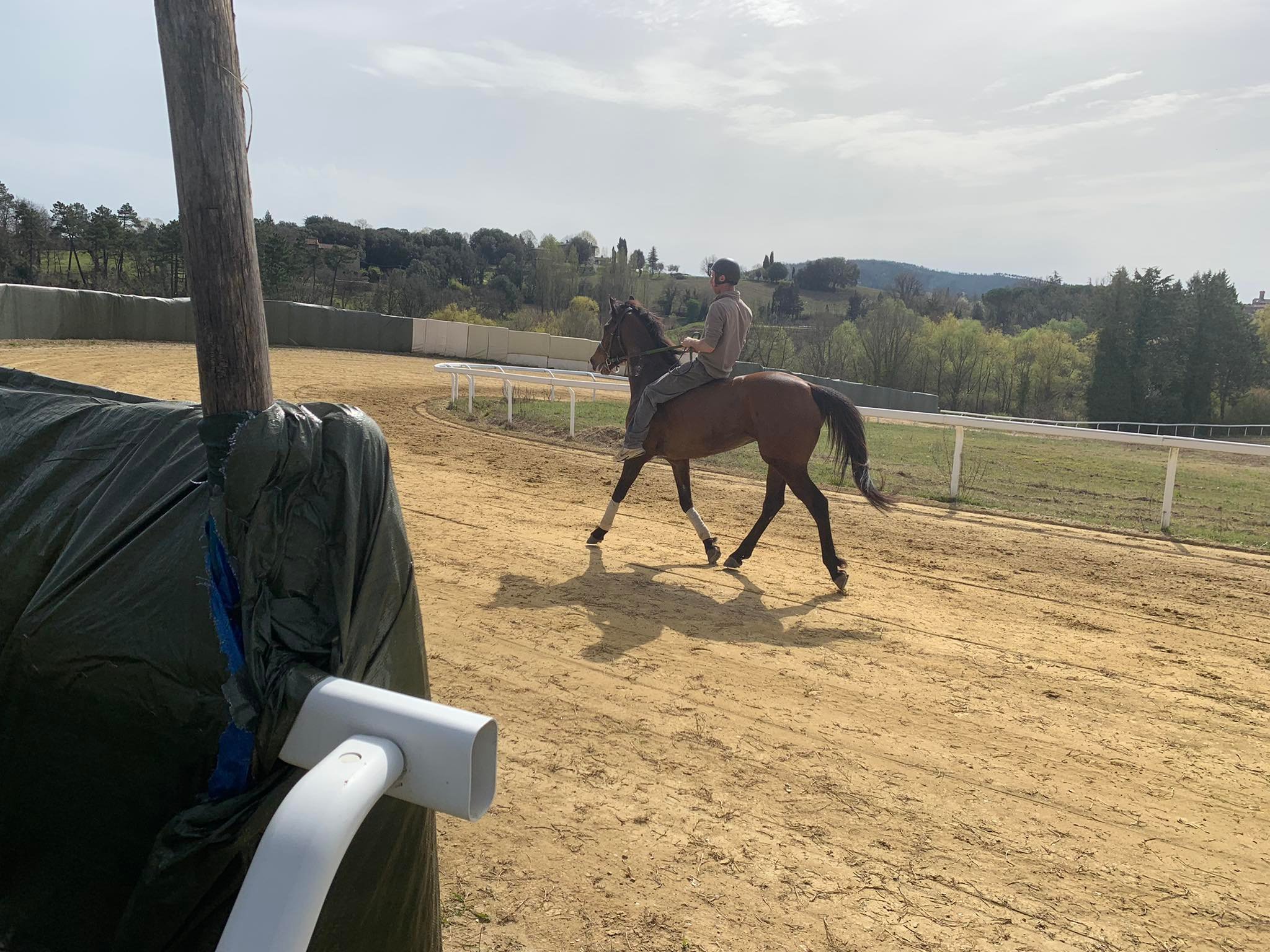 Questa mattina 4 cavalli hanno provato la pista di Monticiano