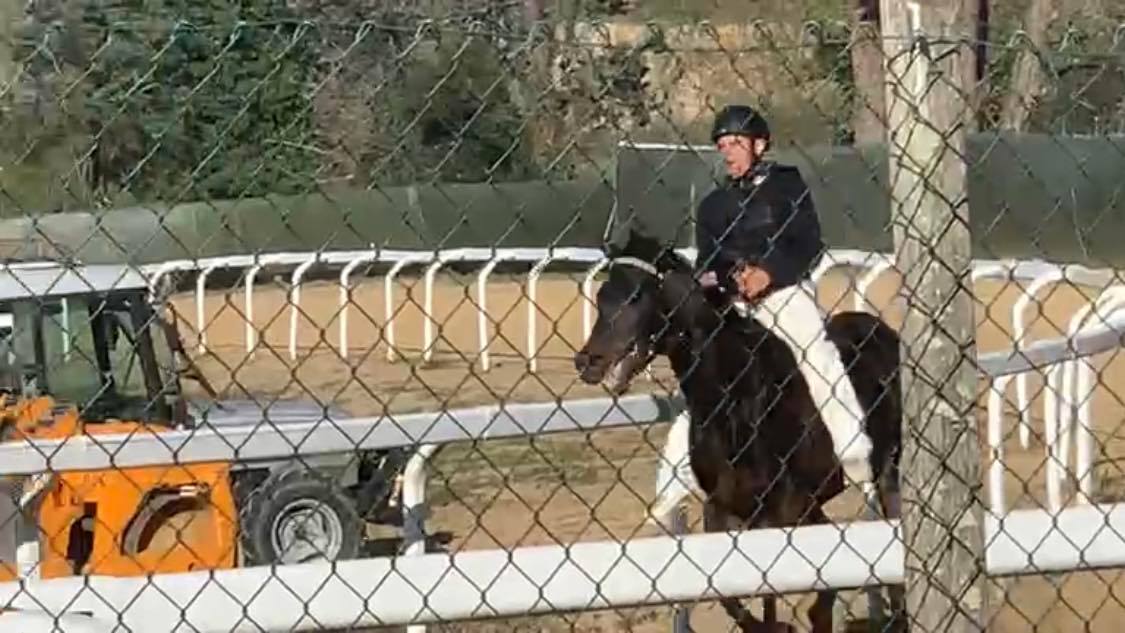 Ieri Trecciolino ha provato un cavallo alla pista di Monticiano