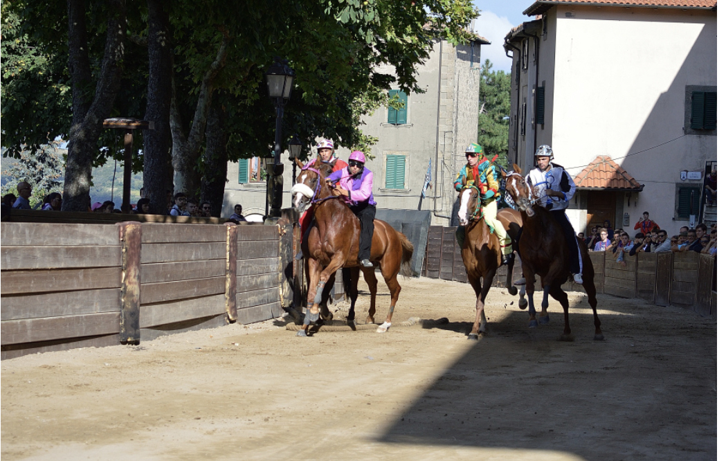 Castel del Piano: oggi sono stati assegnati i cavalli 