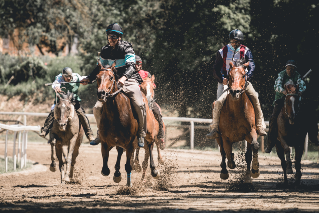 Fucecchio: una statistica sulle vittorie dei cavalli nelle corse