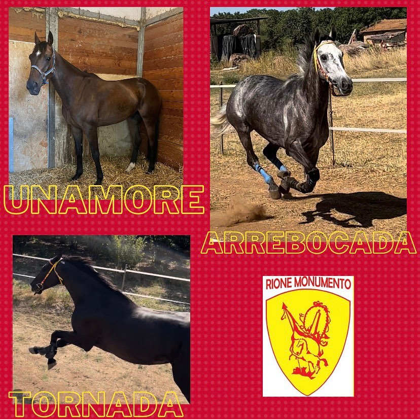 Ronciglione: il Rione Monumento presenta i suoi tre cavalli