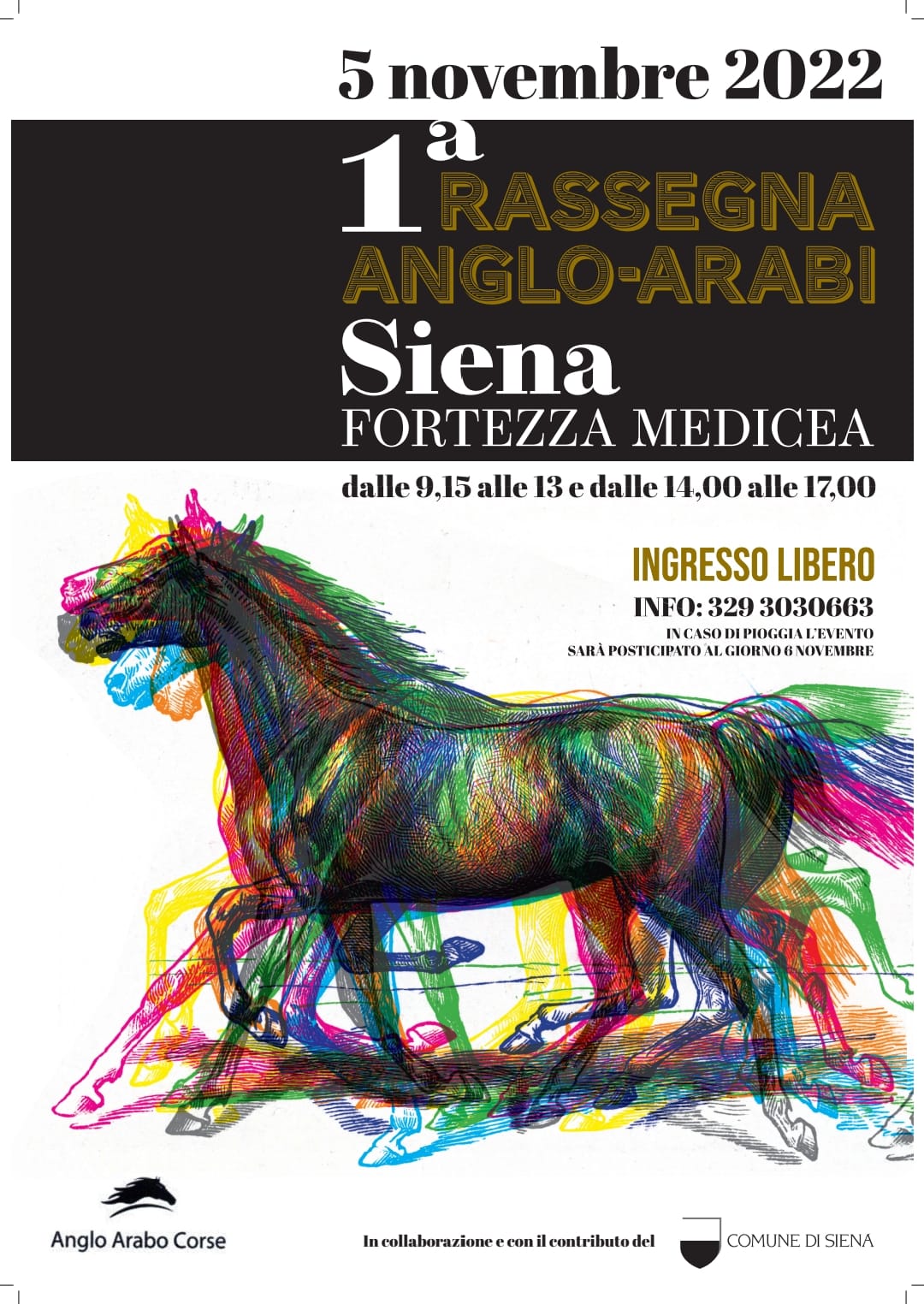 Il 5 novembre a Siena ci sarà la prima rassegna dei puledri anglo-arabi