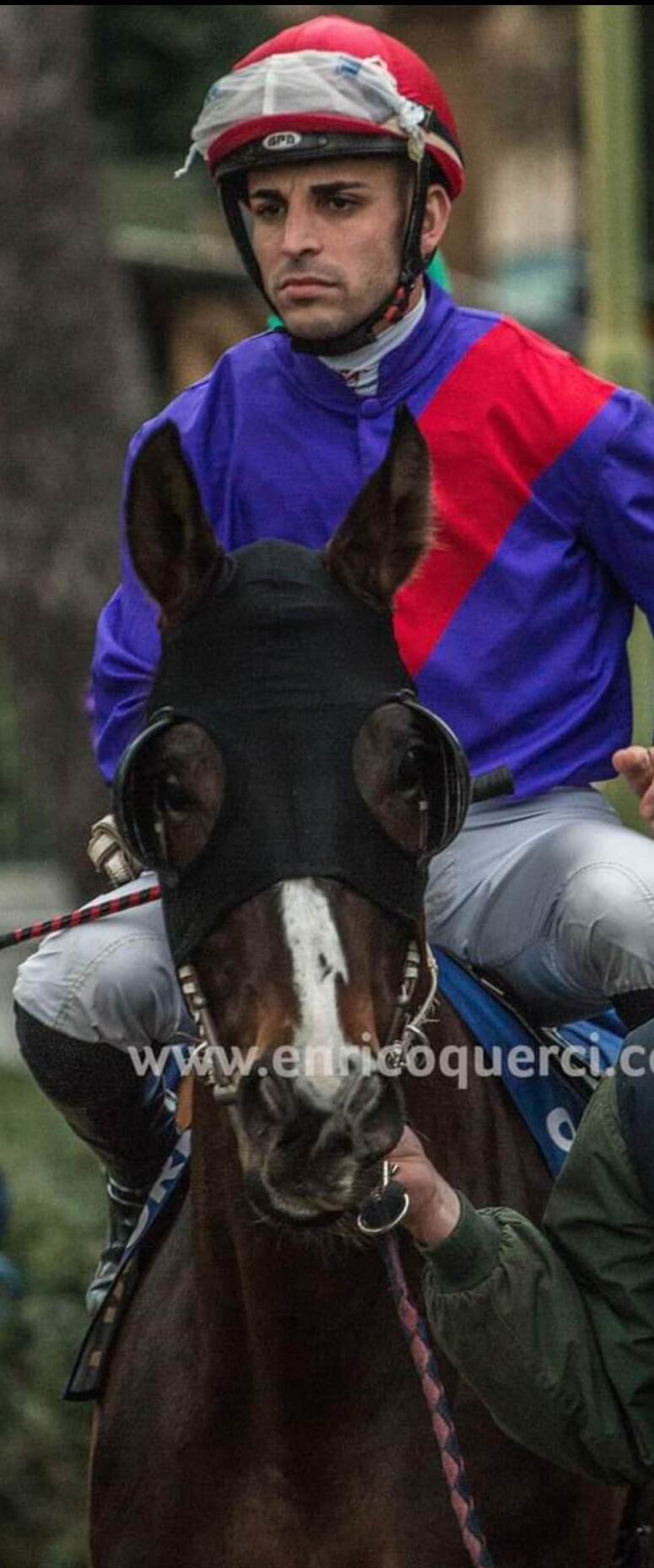 Cambio di proprietà per il cavallo Dimmi Di Sì