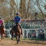 Monteroni d'Arbia: la fotogallery delle corse di oggi