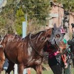 Monteroni d'Arbia: la fotogallery delle corse di oggi