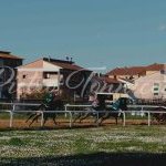 Monteroni d'Arbia: la fotogallery delle corse di oggi