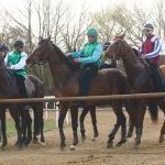 Monticiano: la fotogallery delle corse di oggi