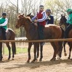 Monticiano: la fotogallery delle corse di oggi