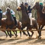 Monticiano: la fotogallery delle corse di oggi