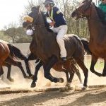 Monticiano: la fotogallery delle corse di oggi