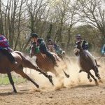 Monticiano: la fotogallery delle corse di oggi