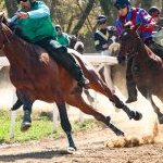 Monticiano: la fotogallery delle corse di oggi