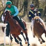 Monticiano: la fotogallery delle corse di oggi