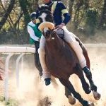 Monticiano: la fotogallery delle corse di oggi