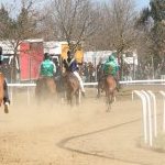 Monticiano: la fotogallery delle corse di oggi