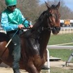 Monticiano: la fotogallery delle corse di oggi