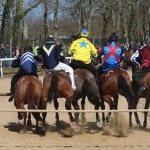 Monticiano: la fotogallery delle corse di oggi