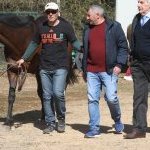 Monticiano: la fotogallery delle corse di oggi