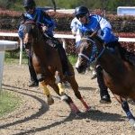 Legnano: la fotogallery delle corse al Centro Ippico Etrea