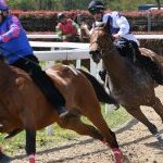 Legnano: la fotogallery delle corse al Centro Ippico Etrea