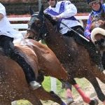 Legnano: la fotogallery delle corse al Centro Ippico Etrea