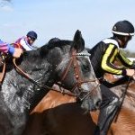 Legnano: la fotogallery delle corse al Centro Ippico Etrea