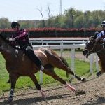 Legnano: la fotogallery delle corse al Centro Ippico Etrea