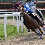 Legnano: la fotogallery delle corse al Centro Ippico Etrea