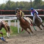 Legnano: la fotogallery delle corse al Centro Ippico Etrea