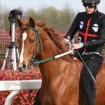 Legnano: la fotogallery delle corse al Centro Ippico Etrea