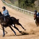 Corse a Monticiano: la fotogallery di Marco Procaccini