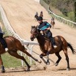 Corse a Monticiano: la fotogallery di Marco Procaccini