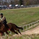 Corse a Monticiano: la fotogallery di Marco Procaccini