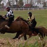 Corse a Monticiano: la fotogallery di Marco Procaccini