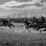 Corse a Monticiano: la fotogallery di Marco Procaccini