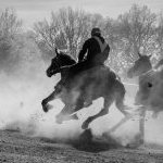 Corse a Monticiano: la fotogallery di Marco Procaccini
