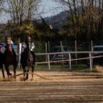 Corse a Monticiano: la fotogallery di Marco Procaccini