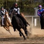 Corse a Monticiano: la fotogallery di Marco Procaccini