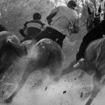 Corse a Monticiano: la fotogallery di Marco Procaccini