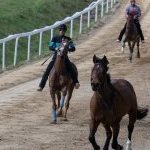 Corse a Monticiano: la fotogallery di Marco Procaccini