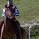 Corse a Monticiano: la fotogallery di Marco Procaccini
