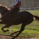Corse a Monticiano: la fotogallery di Marco Procaccini