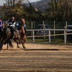 Corse a Monticiano: la fotogallery di Marco Procaccini