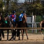 Corse a Monticiano: la fotogallery di Marco Procaccini