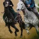 Mociano: la fotogallery dei lavori di addestramento di ieri
