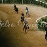 Mociano: la fotogallery dei lavori di addestramento di ieri