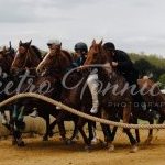 Mociano: la fotogallery dei lavori di addestramento di ieri