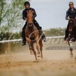 Mociano: la fotogallery dei lavori di addestramento di ieri